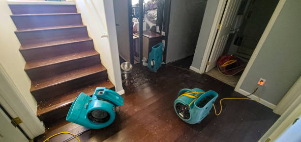Best Flood restoration services  in Winthrop, IA