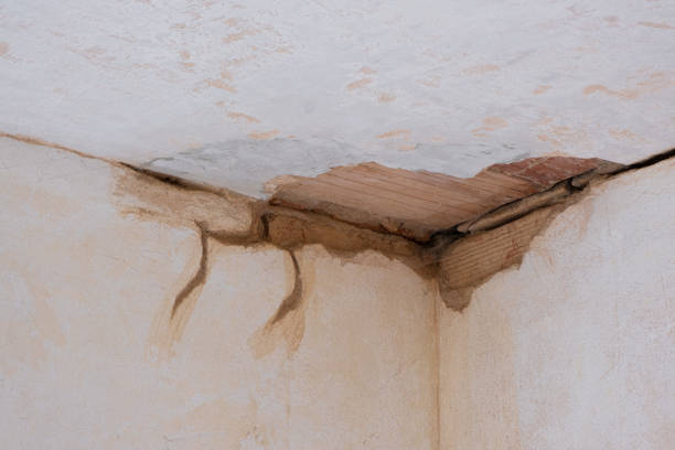 Best Flood restoration services  in Winthrop, IA