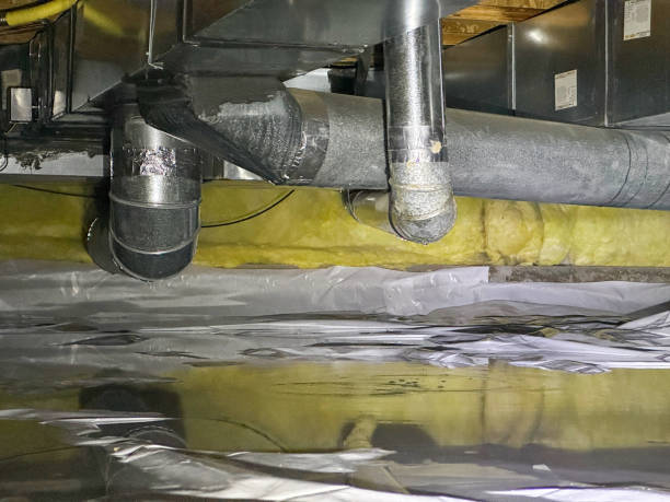 Best Basement water damage restoration  in Winthrop, IA