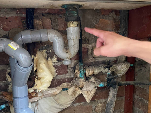 Best 24-hour water damage restoration  in Winthrop, IA